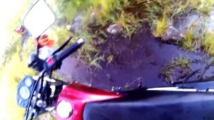 ПЕРЕЗАЛИВ ДЕСНА 220 ФАНТОМ  Аморт. Сломался прямо в болоте