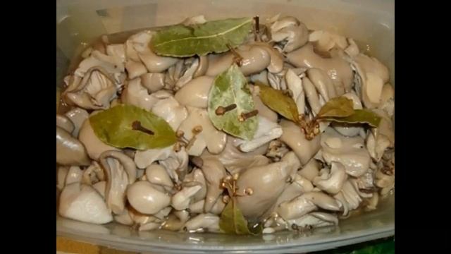 Вешенки маринованные смотреть онлайн