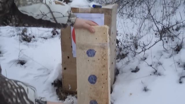 Доскопробиваемость мелкашки (.22лр). Стреляем на 100 и 150 м смотреть онлайн