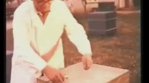 Как получали пчелиный яд в СССР