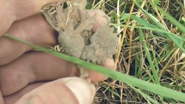 КЛАДОИСКАТЕЛИ КЛУБ-СТ TREASURE HUNTERS OF RUSSIA смотреть онлайн