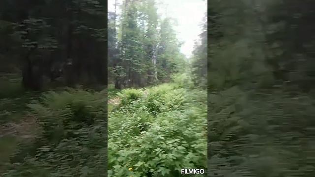 дальняк на зид пилот 50 смотреть онлайн