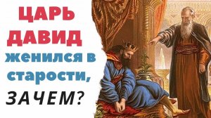 Царь Давид женился в старости, зачем? Максим Каскун