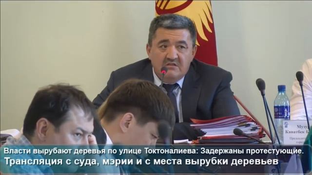 Вырубка деревьев в Бишкеке: Мэрия обсуждает сложившуюся ситуацию