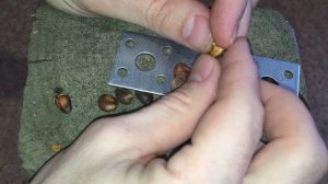 Чистим кедровые орехи от скорлупы двумя способами  (clean pine nuts)