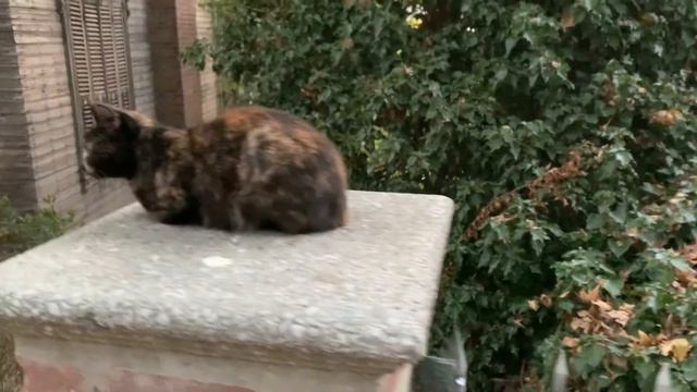 Осенний Стамбул с друзьями и Каппадокия смотреть онлайн