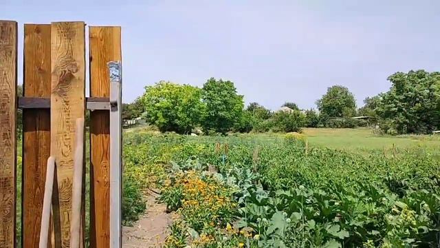 Стройка века(лепим из того что есть) Навела в уголке порядок. Живём в станице с нуля. смотреть онлайн