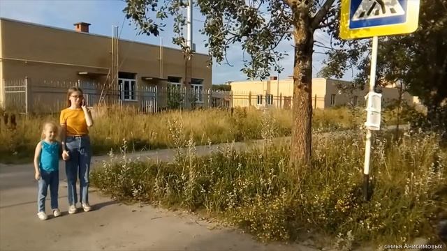 Мы соблюдаем правила дорожного движения (челлендж) смотреть онлайн