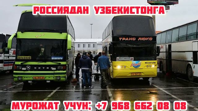 Москва Ташкент автобус смотреть онлайн