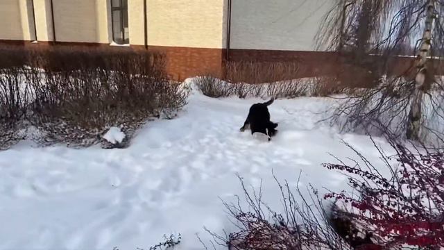 Захар и Рома смотреть онлайн