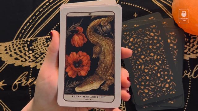 Woodland Wardens Oracle / Оракул Хранителей леса — большой обзор. Разбор авторских значений