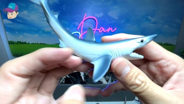 Sea Animals Collection - Sharks, Whales, Dolphins, Megalodon, Narwhal, Beluga Whale, Shark Ray смотреть онлайн