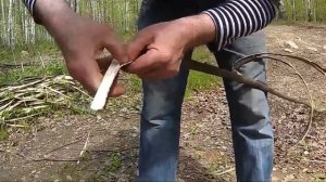 как заготовить лыко липовое своими руками и ногами