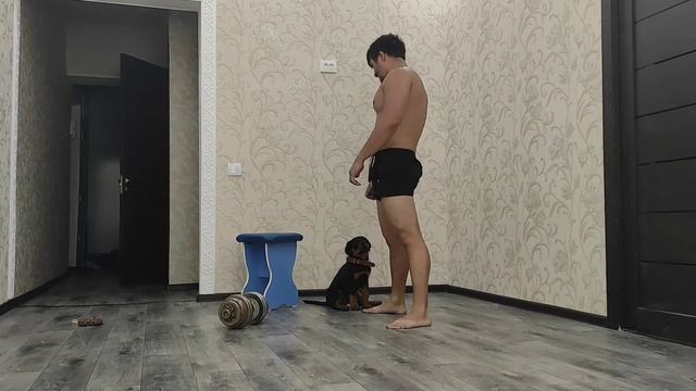 убойная тренировка меньше чем за 15минут смотреть онлайн