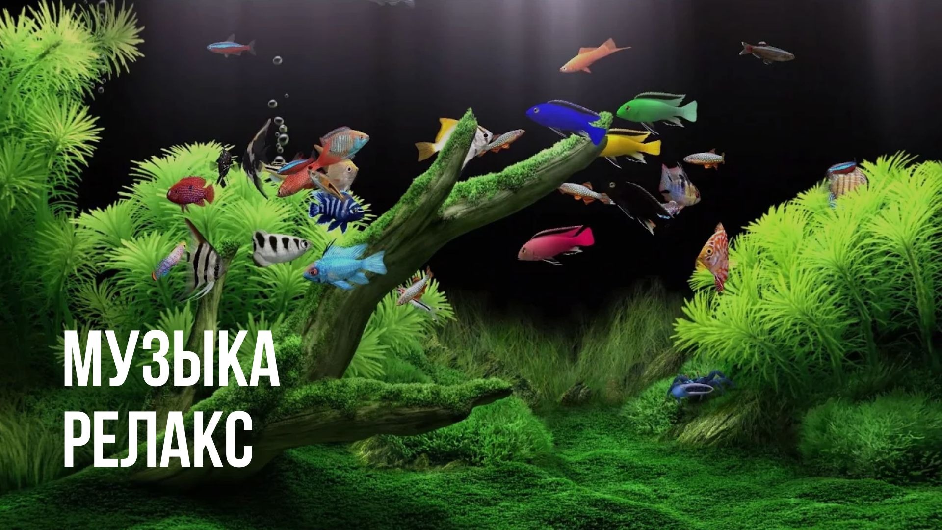 Нежная музыка для расслабления, для здоровья, для души. Приятного сна и отдыха смотреть онлайн