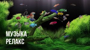 Нежная музыка для расслабления, для здоровья, для души. Приятного сна и отдыха