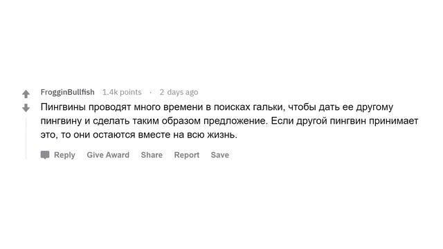 Какой самый милый факт вы знаете? смотреть онлайн