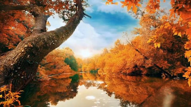 12 hours of Relaxing Piano Music, Beautiful Relaxing Music, Stress Relief, Calming Music смотреть онлайн