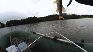 Я верил в этот воблер ещё до покупки! Ловля щуки на воблеры с лодки! Рыбалка летом!
