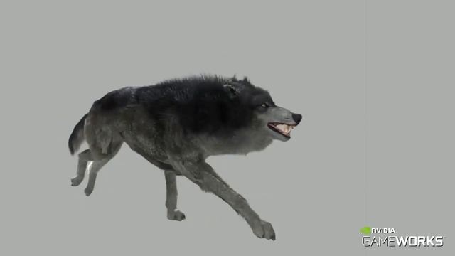 NVIDIA GameWorks - HairWorks sorgt für beeindruckende Haare & Fell in Witcher 3 & Co смотреть онлайн