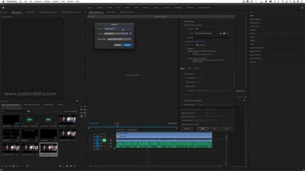 How to Export Audio Only in Adobe Premiere Pro (.AAC,.Mp3,.WAV)