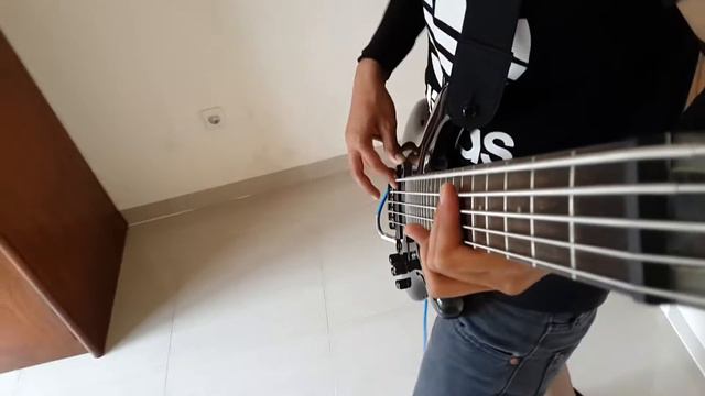 KORN FT SKRILLEX - NARCISTIC CANNIBAL (BASS & GUITAR COVER FT DANIEL LEONOV)