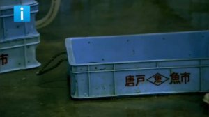 Съедобно-ядовитая рыба ФУГУ. Как японцы ловят готовят и едят ядовитую рыбу ФУГУ!?