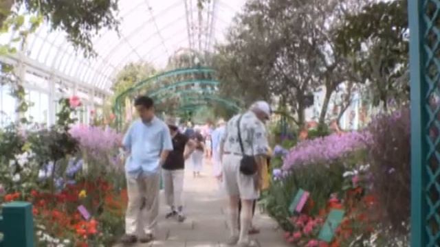 Сад Моне возрождается в Нью-Йорке (Monet's garden revives in NY) смотреть онлайн