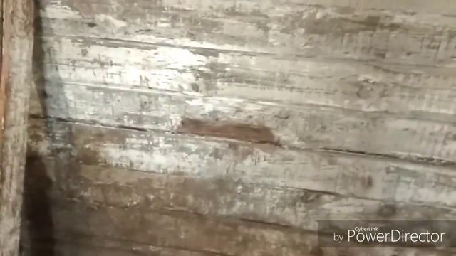 Зима вернулась,дела домашние 24 апреля 2018 г. смотреть онлайн