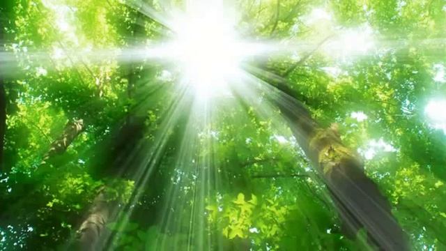 День 1 Марафон Изобилия 21 день Изобилия День 1 Дипак Чопра смотреть онлайн