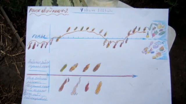 Поиск своей пищи 2 смотреть онлайн
