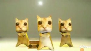 песня Куми Куми хапа лапа