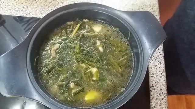 Цирковые Представления и Шоу