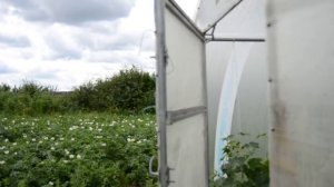 .Наглядный опыт работы проветривания теплицы. Термопривод.