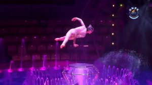 Цирк на воде