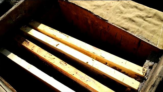 Пчелы! Первый осмотр ! 5 марта ! Сокращение и утепление