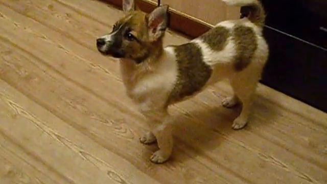 Просим кушать смотреть онлайн