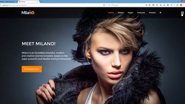 Gantry 5 - "Modal Search" and "Offcanvas Toggle" Particles (Milano) смотреть онлайн