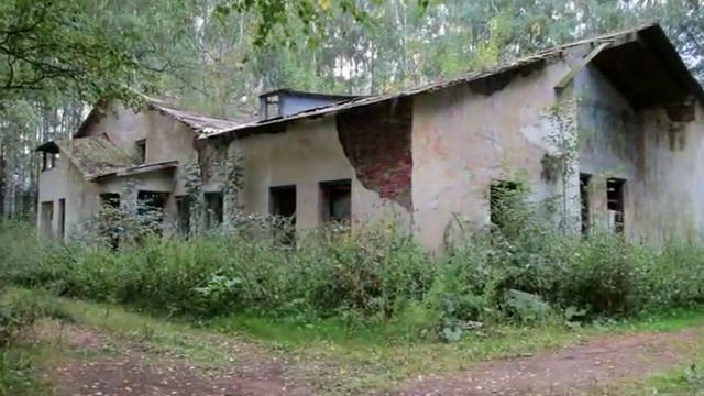 Видеоклип "Скажи председатель" смотреть онлайн