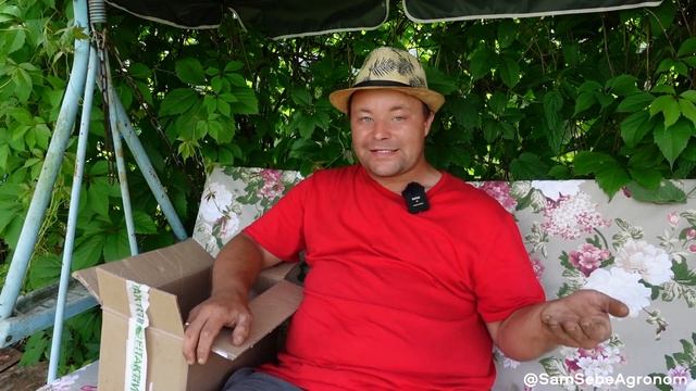НЕ ПОКУПАЙТЕ РОЗЫ в "Королевство Роз".Я купил - устал их реанимировать. Надеюсь удобрения помогут.. смотреть онлайн