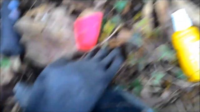 Finalmente L'uscita Dopo Il Diluvio