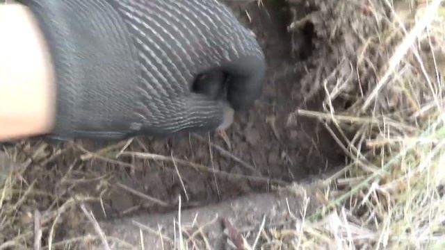 Поиск у старой деревни. смотреть онлайн