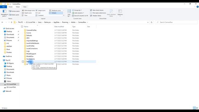 How To Load Xmp Files (camera Raw Presents) In Photoshop By Bertie Pro