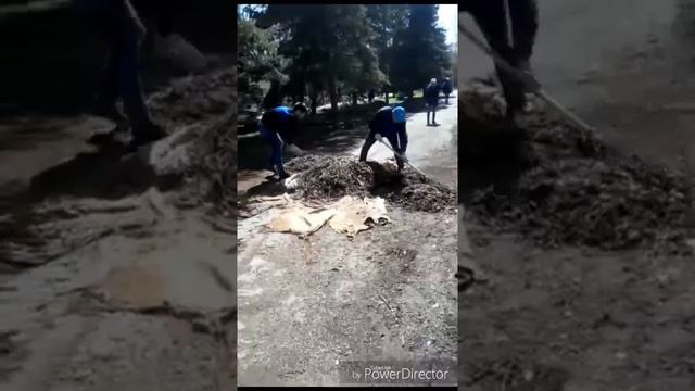 Доброе дело.Уборка территории смотреть онлайн