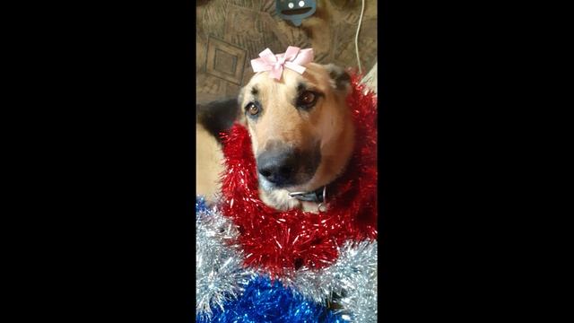 Багира весна-лето 2022г. Племянники и Багира. смотреть онлайн