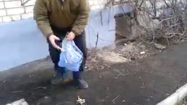 Кормлю щенков смотреть онлайн