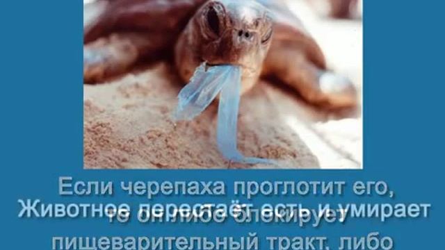 Планета задыхается от мусора смотреть онлайн