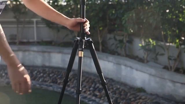 Штатив Beike QZSD Q999S трипод + монопод смотреть онлайн