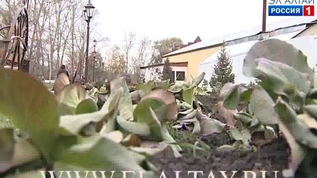 Широкомасштабная акция по озеленению города смотреть онлайн