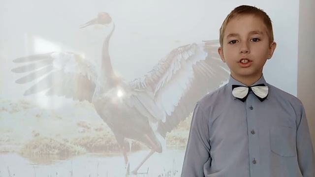 Салимов Максим, 9 лет,3 «А» класс, МОУ СОШ № 4 имени Героя Советского Союза Хоменко И.С. смотреть онлайн
